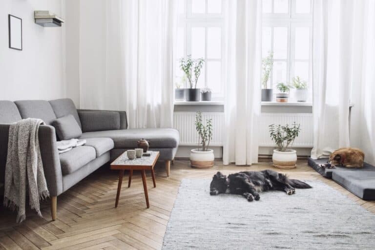 open plan living room minimalism style