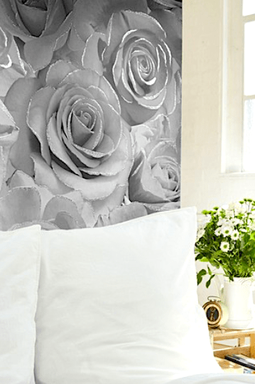 Monochrome rose wallpaper