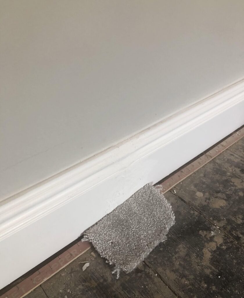 Light silver/grey carpet sample placed on floor next to skirting board.