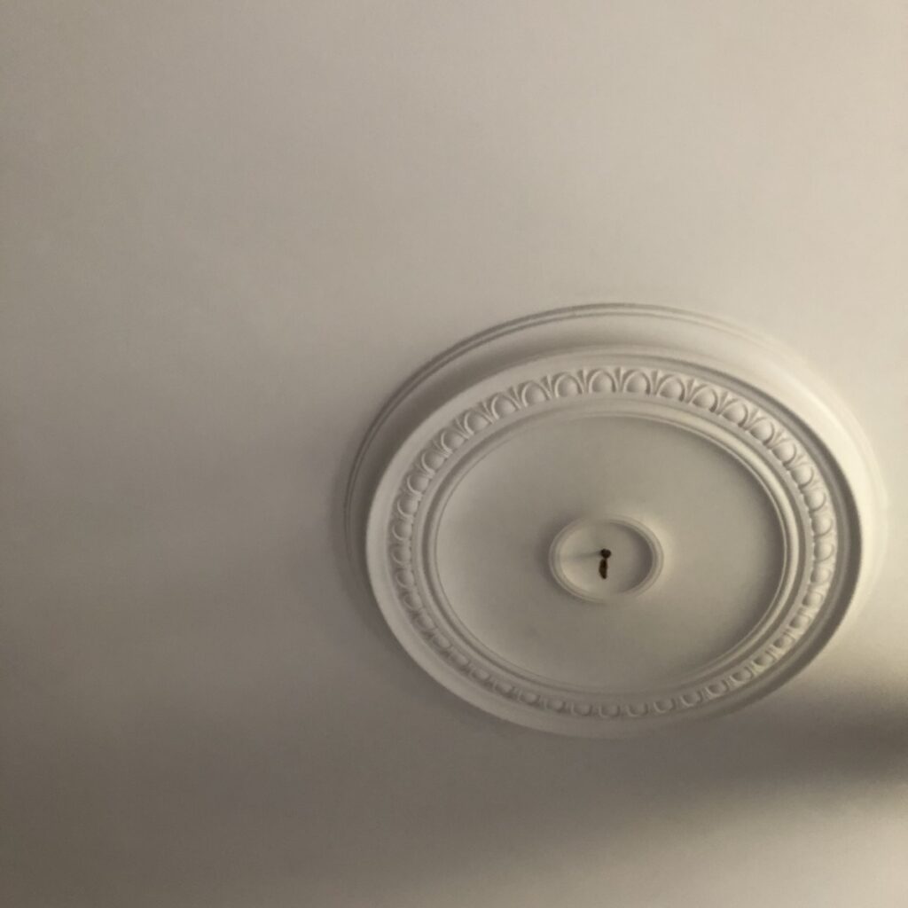 Ceiling rose fitted - renovation