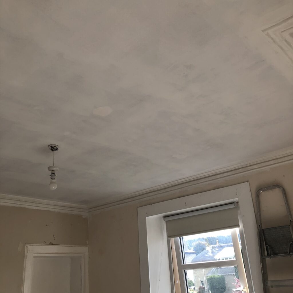 Living Room Renovation - first coat of white paint on the ceiling