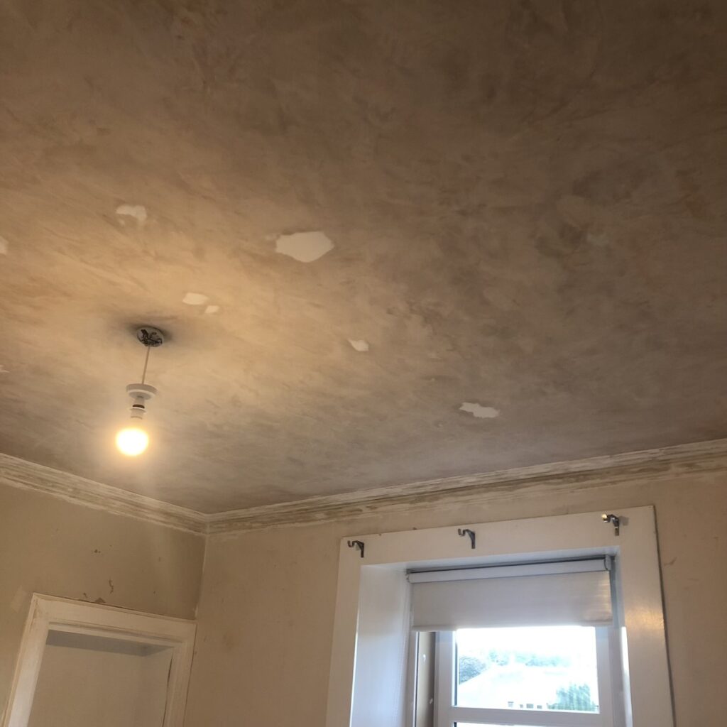 Living Room Renovation Mid reno, ceiling just plastered